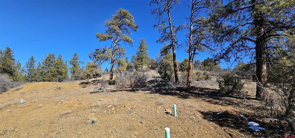 2326 Indian Land Pagosa Springs CO 81147