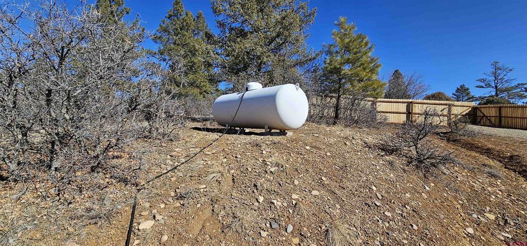 2326 Indian Land Pagosa Springs CO 81147