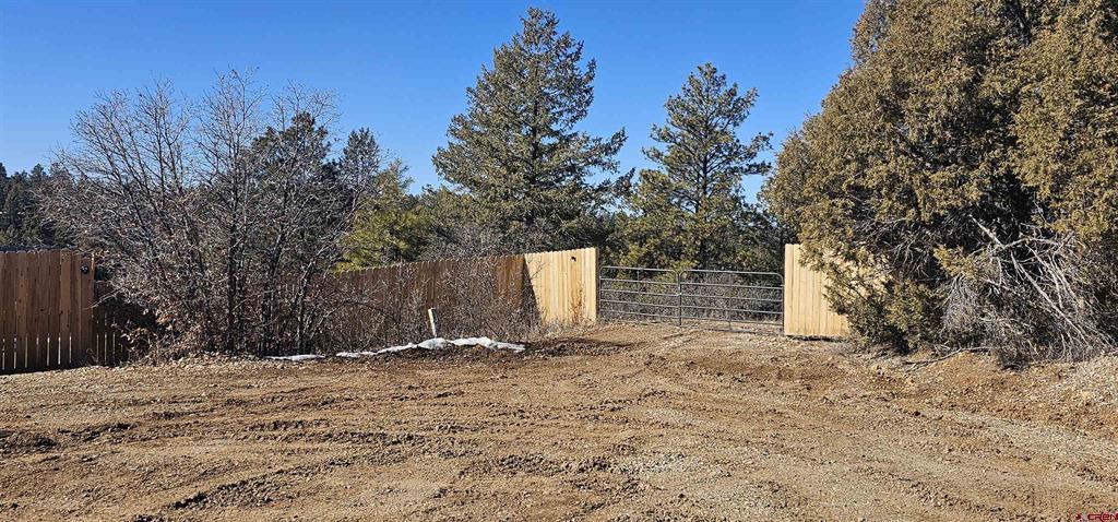 2326 Indian Land Pagosa Springs CO 81147