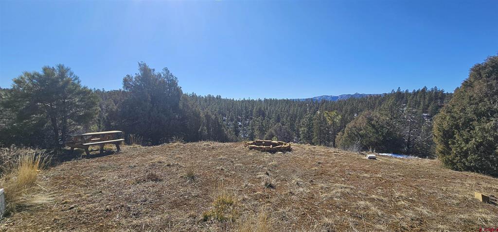 2326 Indian Land Pagosa Springs CO 81147