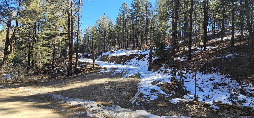 2326 Indian Land Pagosa Springs CO 81147