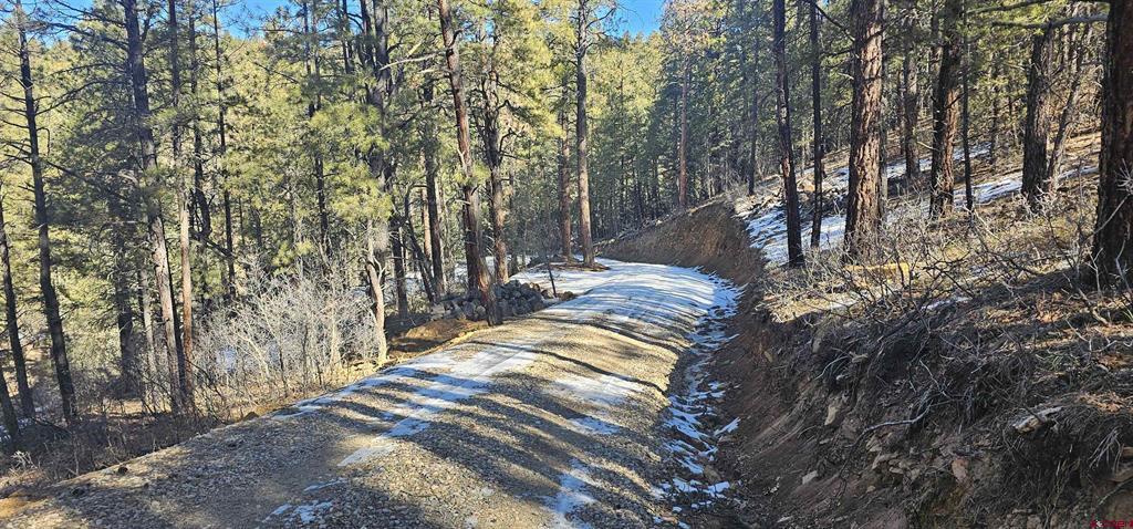 2326 Indian Land Pagosa Springs CO 81147