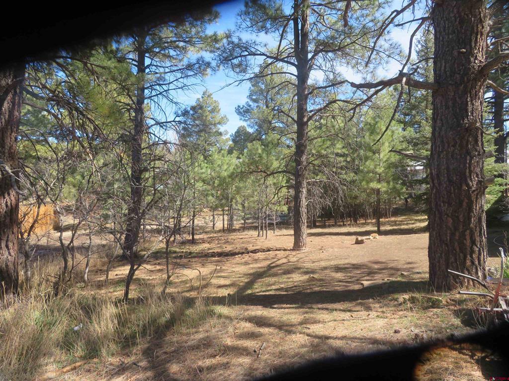 30 Knollwood Court Pagosa Springs CO 81147