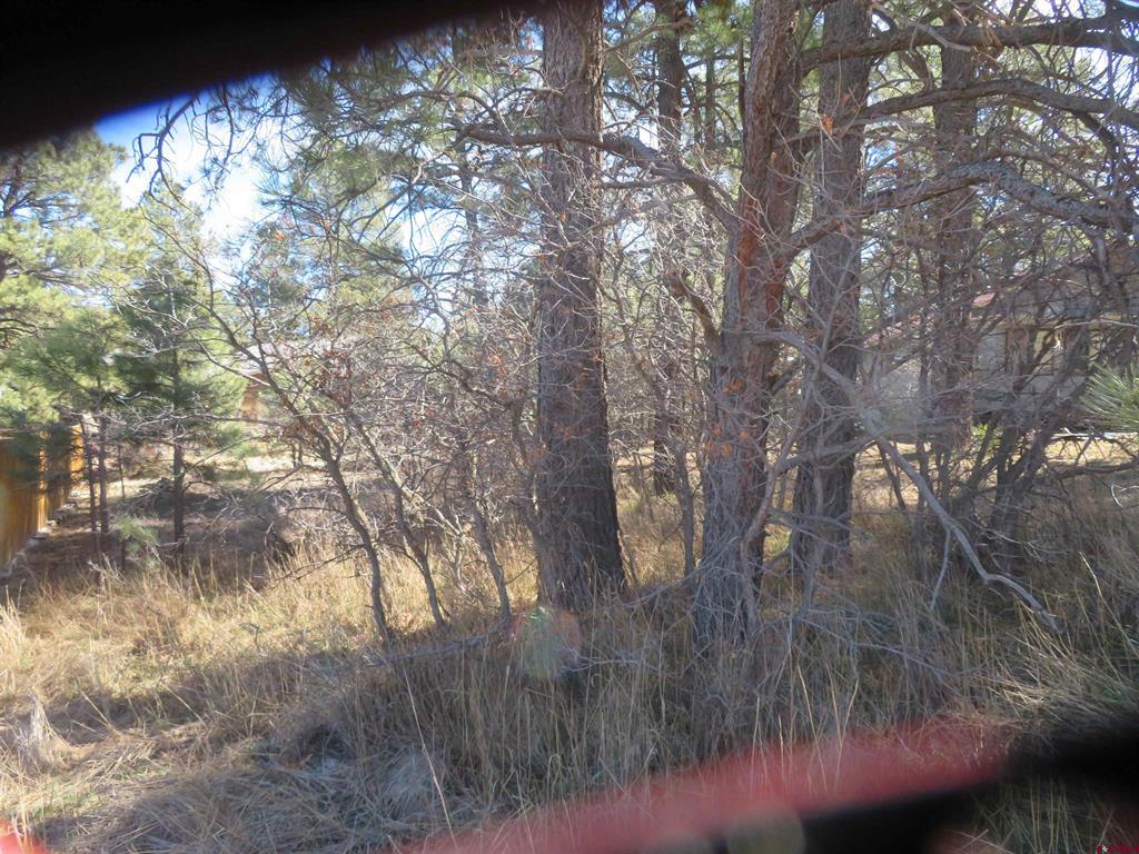 30 Knollwood Court Pagosa Springs CO 81147