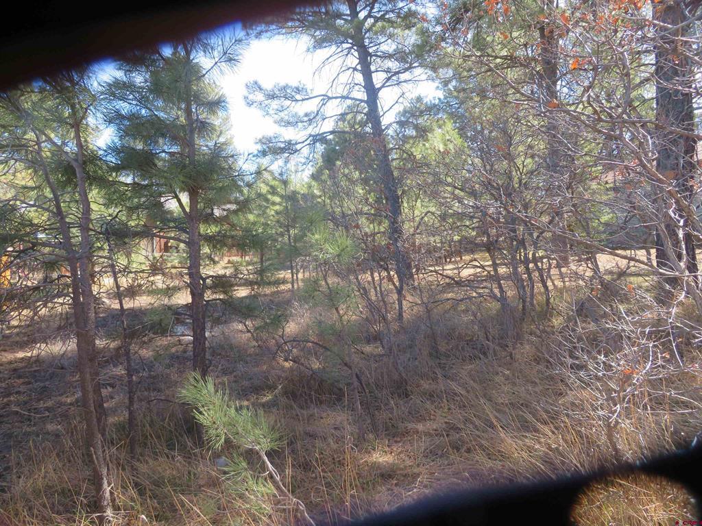 30 Knollwood Court Pagosa Springs CO 81147