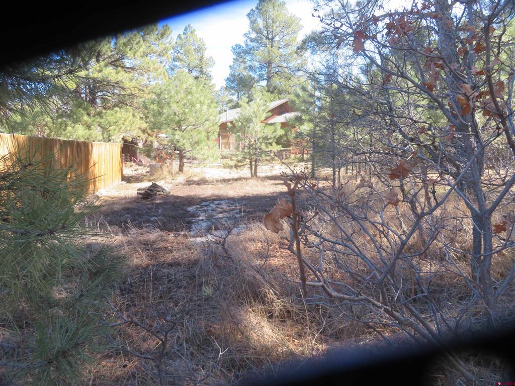 30 Knollwood Court Pagosa Springs CO 81147
