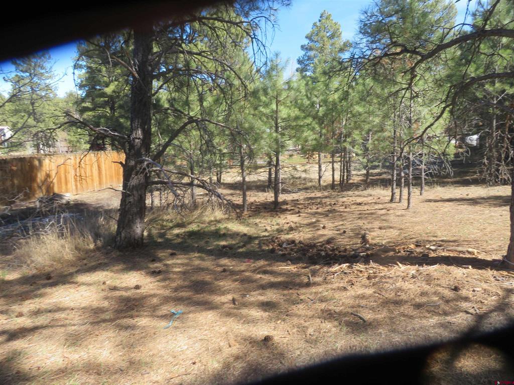 30 Knollwood Court Pagosa Springs CO 81147