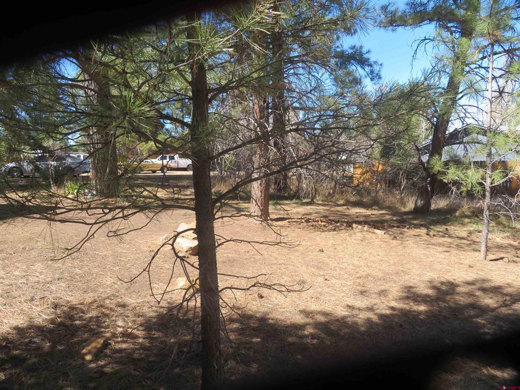 30 Knollwood Court Pagosa Springs CO 81147