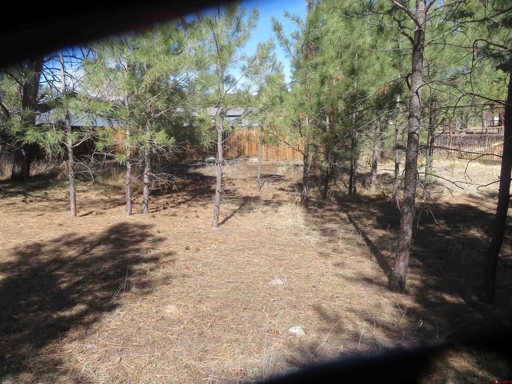 30 Knollwood Court Pagosa Springs CO 81147