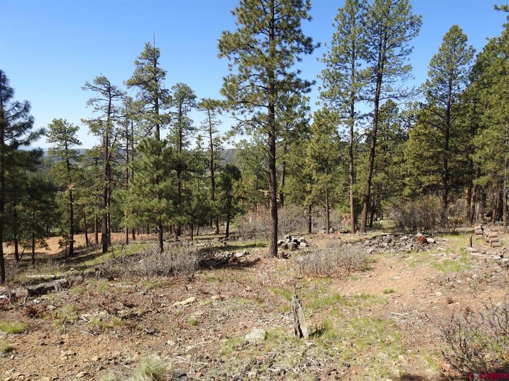 1142 Deer Ridge Drive Bayfield CO 81122
