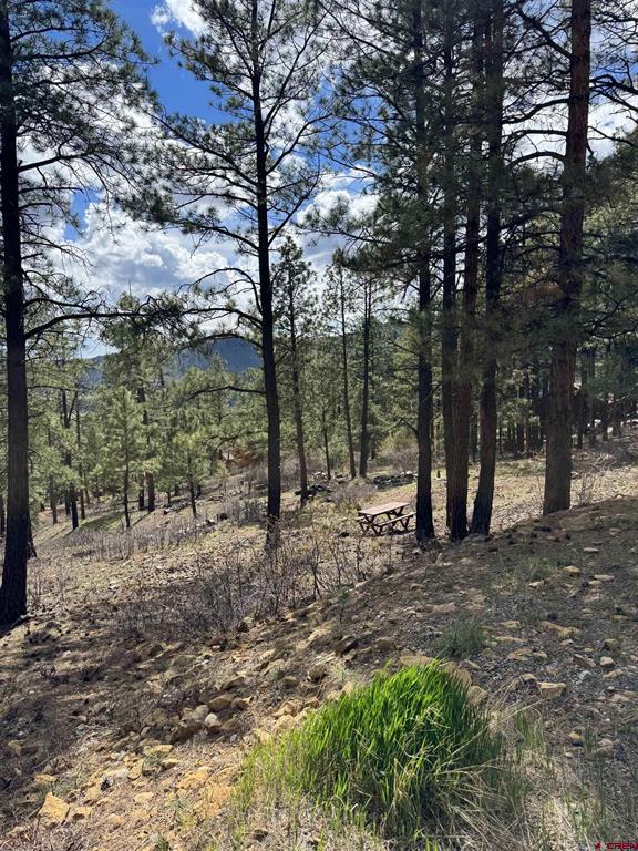 1142 Deer Ridge Drive Bayfield CO 81122
