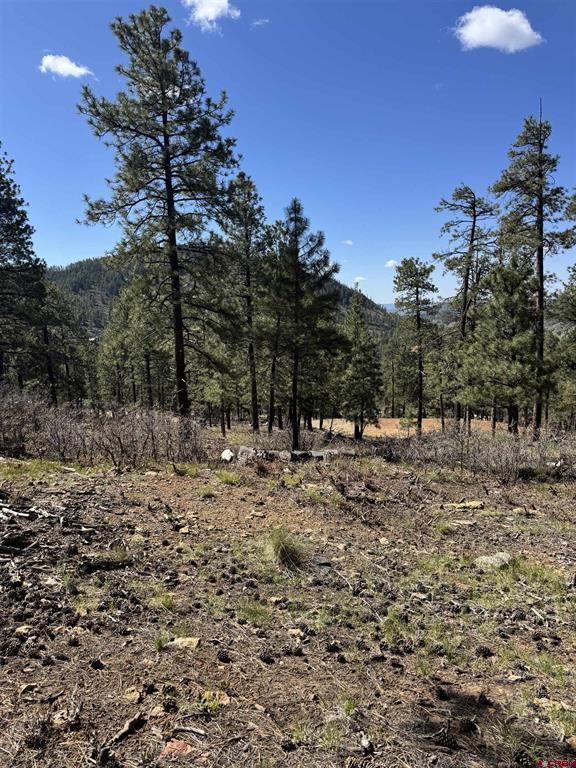1142 Deer Ridge Drive Bayfield CO 81122