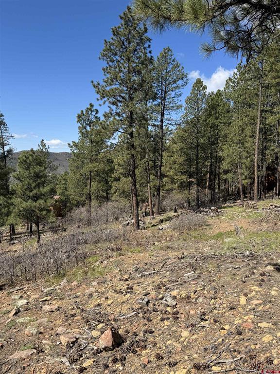 1142 Deer Ridge Drive Bayfield CO 81122