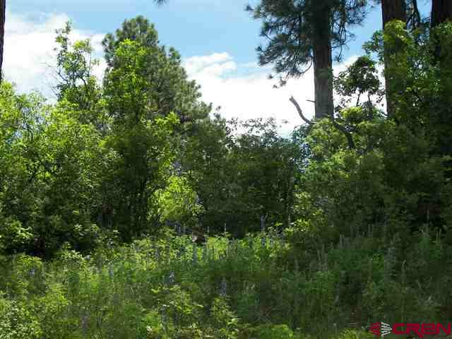 673 Spring Creek Circle Chromo CO 81128