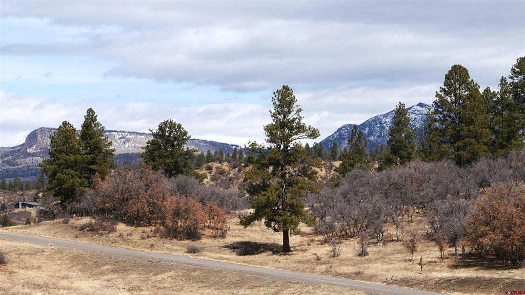 673 Spring Creek Circle Chromo CO 81128