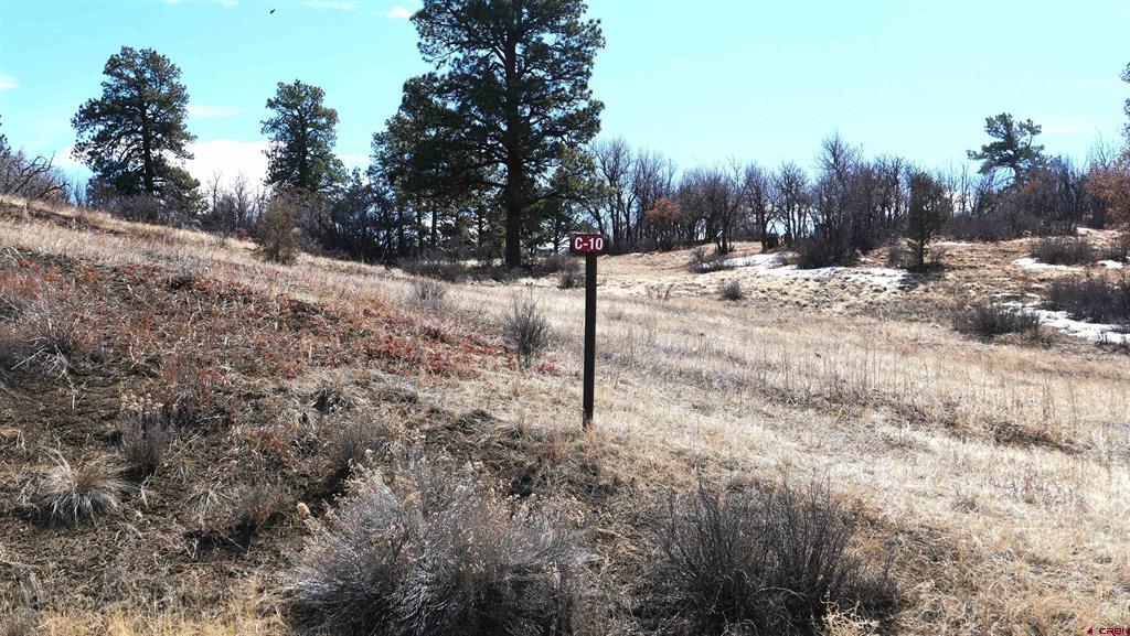 673 Spring Creek Circle Chromo CO 81128
