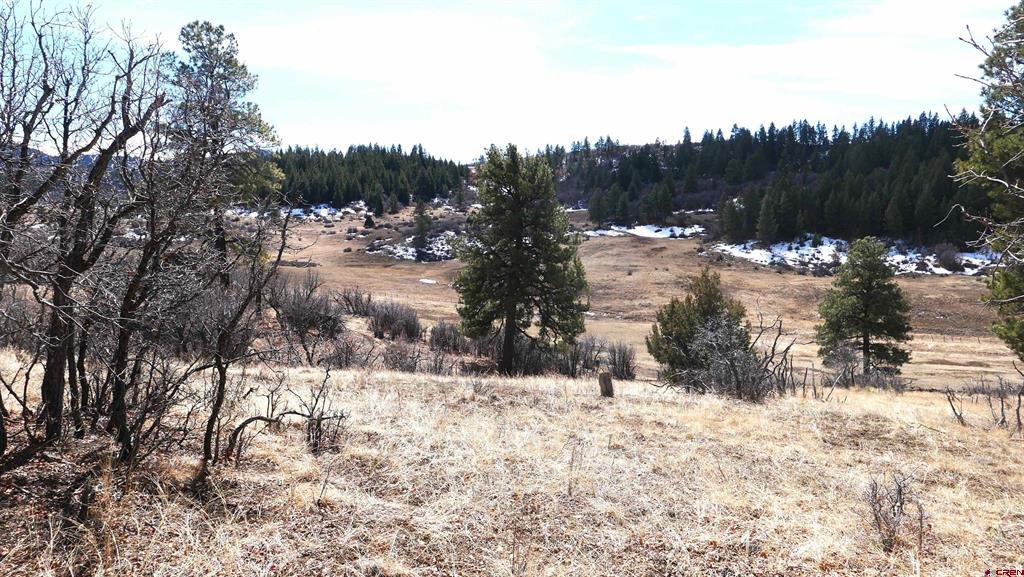 673 Spring Creek Circle Chromo CO 81128