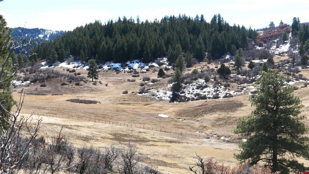 673 Spring Creek Circle Chromo CO 81128