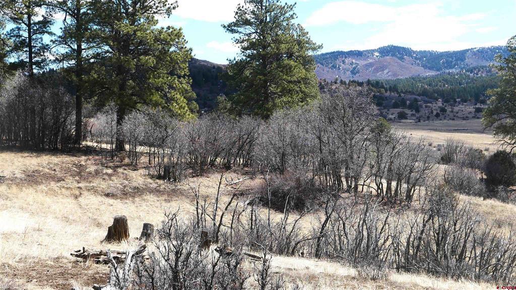673 Spring Creek Circle Chromo CO 81128