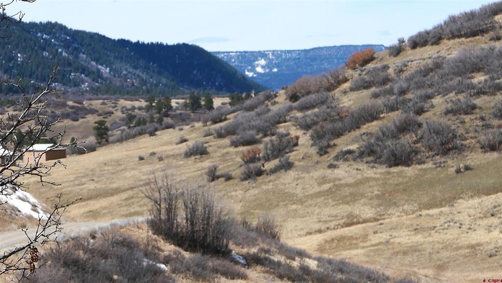 673 Spring Creek Circle Chromo CO 81128