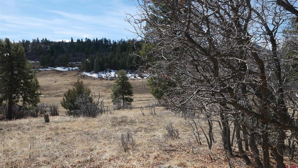 673 Spring Creek Circle Chromo CO 81128
