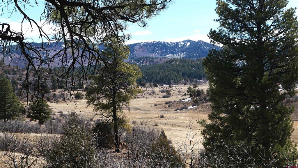 673 Spring Creek Circle Chromo CO 81128