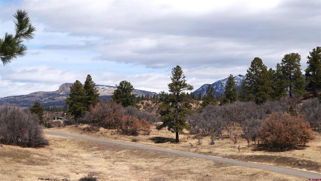 673 Spring Creek Circle Chromo CO 81128
