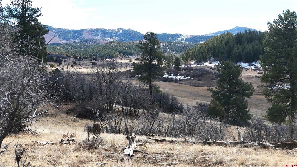 673 Spring Creek Circle Chromo CO 81128