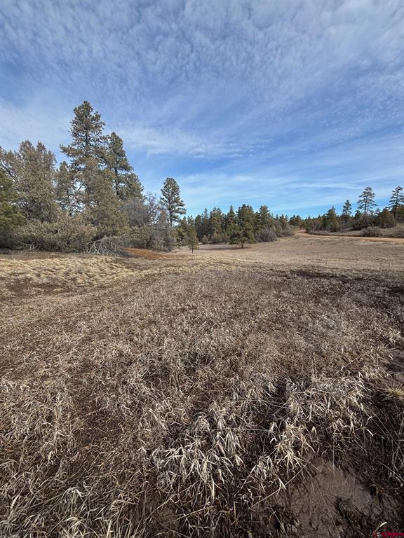 1046 Crooked Road Pagosa Springs CO 81147
