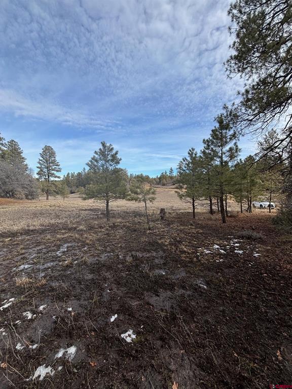 1046 Crooked Road Pagosa Springs CO 81147