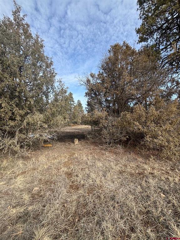 1046 Crooked Road Pagosa Springs CO 81147