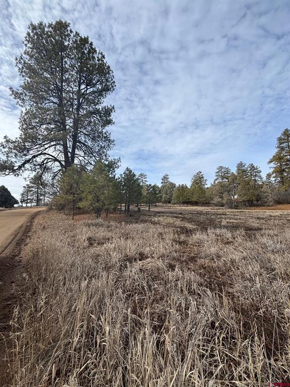1046 Crooked Road Pagosa Springs CO 81147