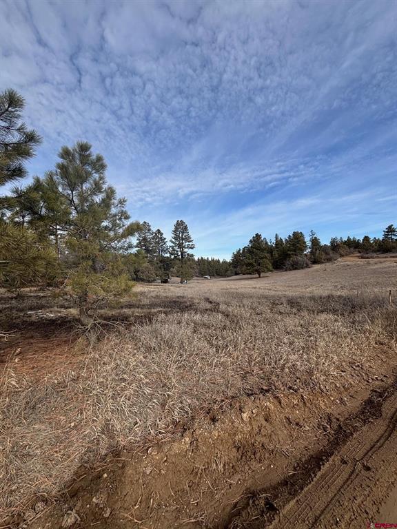 1046 Crooked Road Pagosa Springs CO 81147