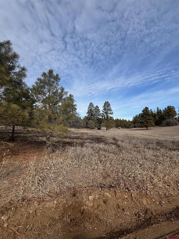 1046 Crooked Road Pagosa Springs CO 81147
