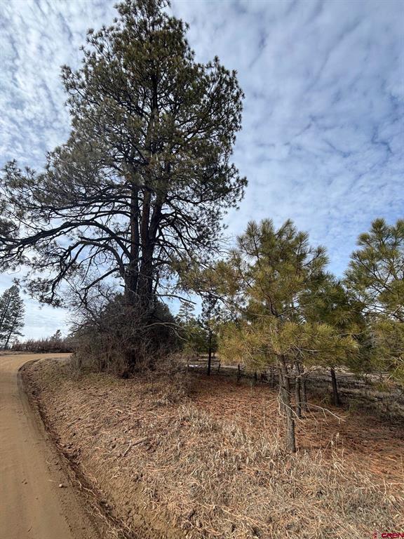 1046 Crooked Road Pagosa Springs CO 81147