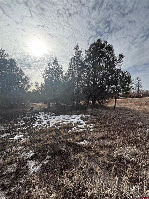 1046 Crooked Road Pagosa Springs CO 81147