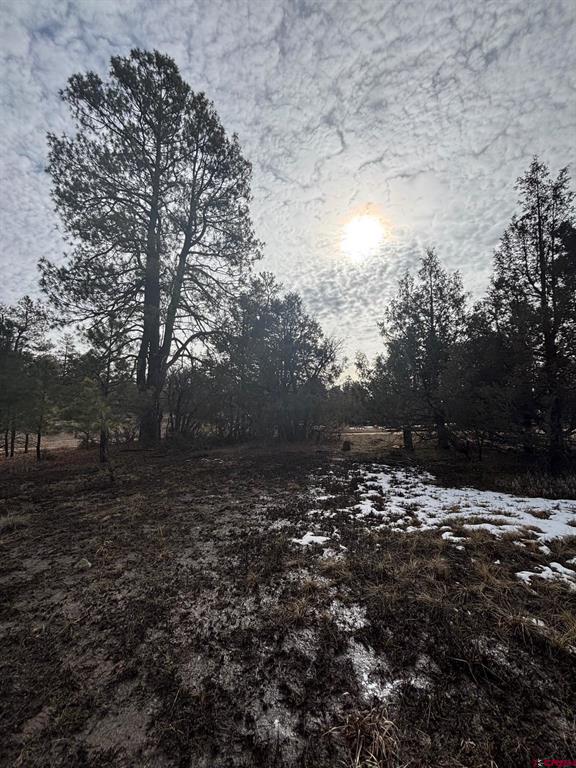 1046 Crooked Road Pagosa Springs CO 81147