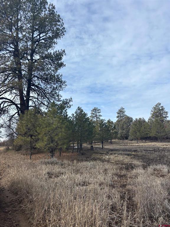 1046 Crooked Road Pagosa Springs CO 81147