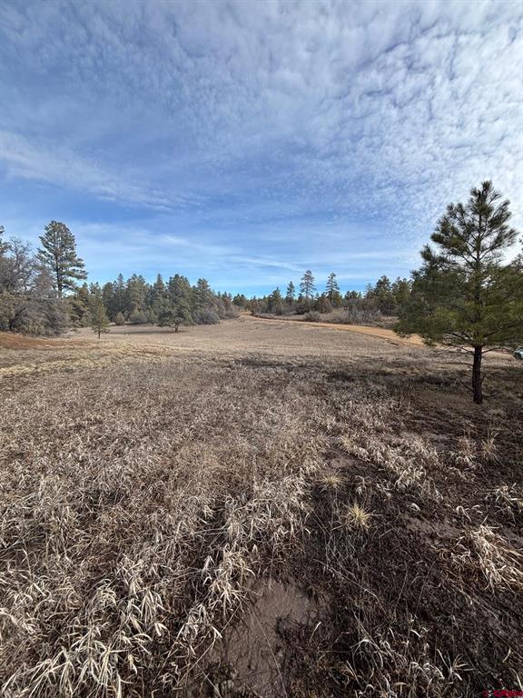 1046 Crooked Road Pagosa Springs CO 81147