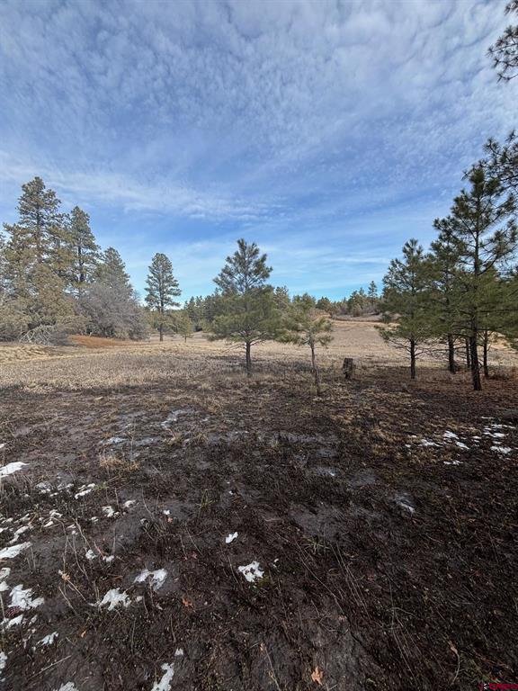 1046 Crooked Road Pagosa Springs CO 81147