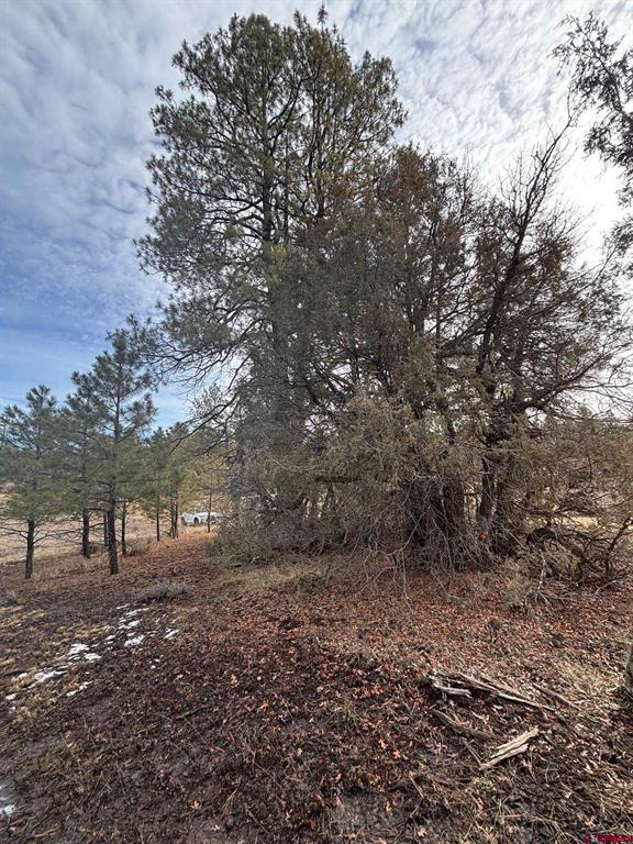 1046 Crooked Road Pagosa Springs CO 81147