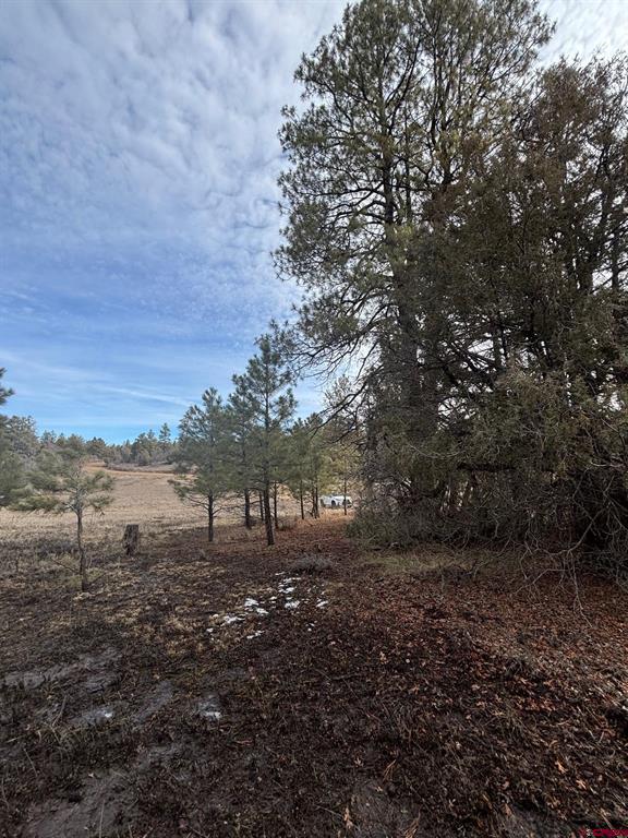1046 Crooked Road Pagosa Springs CO 81147