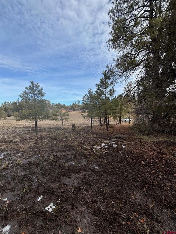 1046 Crooked Road Pagosa Springs CO 81147