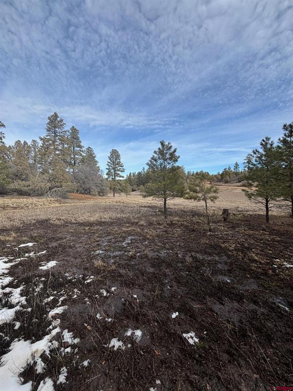 1046 Crooked Road Pagosa Springs CO 81147