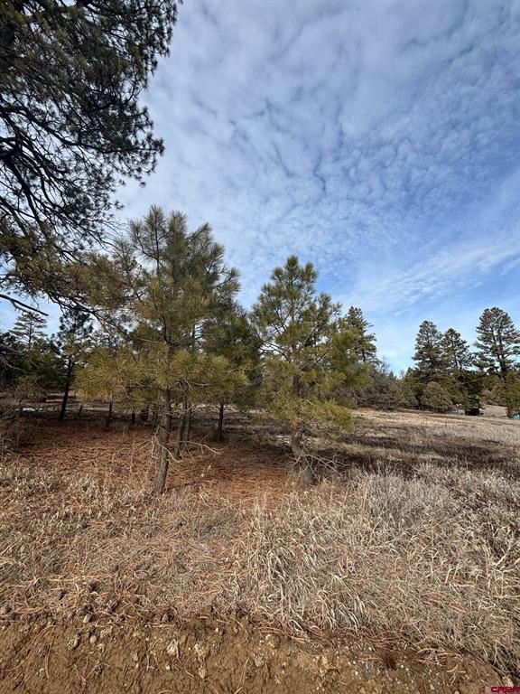 1046 Crooked Road Pagosa Springs CO 81147