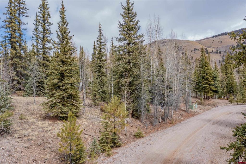 2743 Silver Coin Lane Lake City CO 81235
