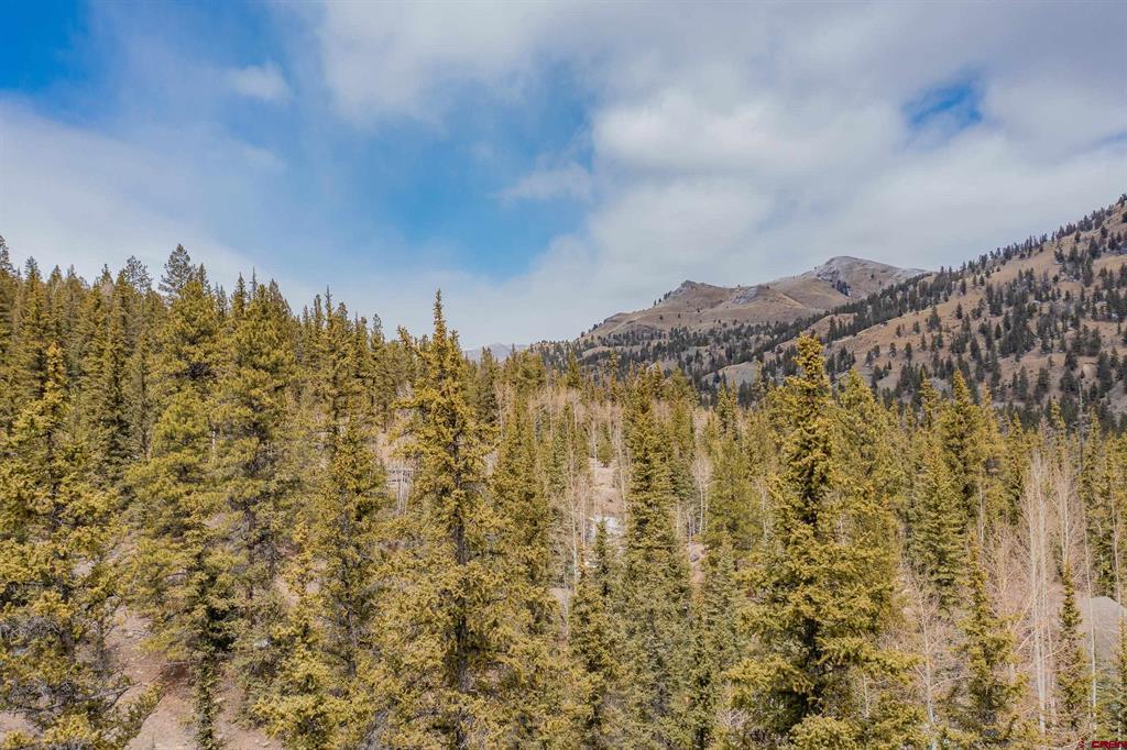 2743 Silver Coin Lane Lake City CO 81235