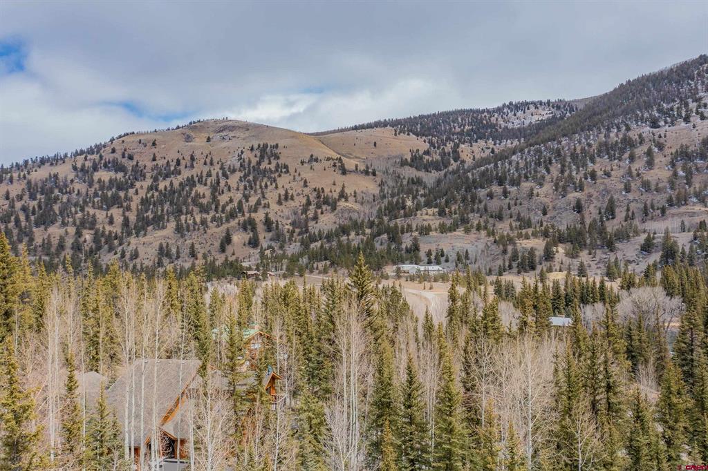 2743 Silver Coin Lane Lake City CO 81235