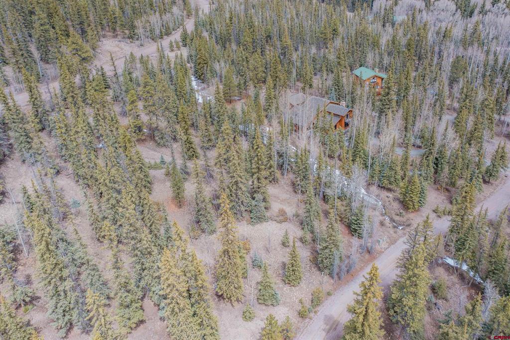 2743 Silver Coin Lane Lake City CO 81235