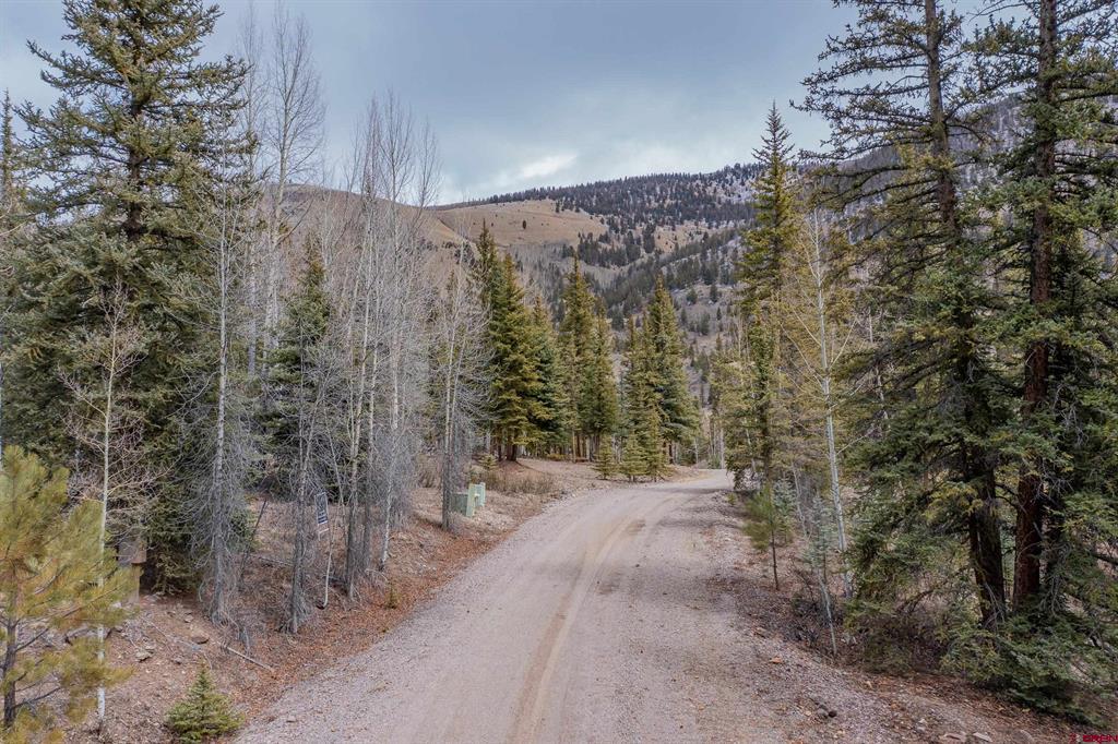 2743 Silver Coin Lane Lake City CO 81235